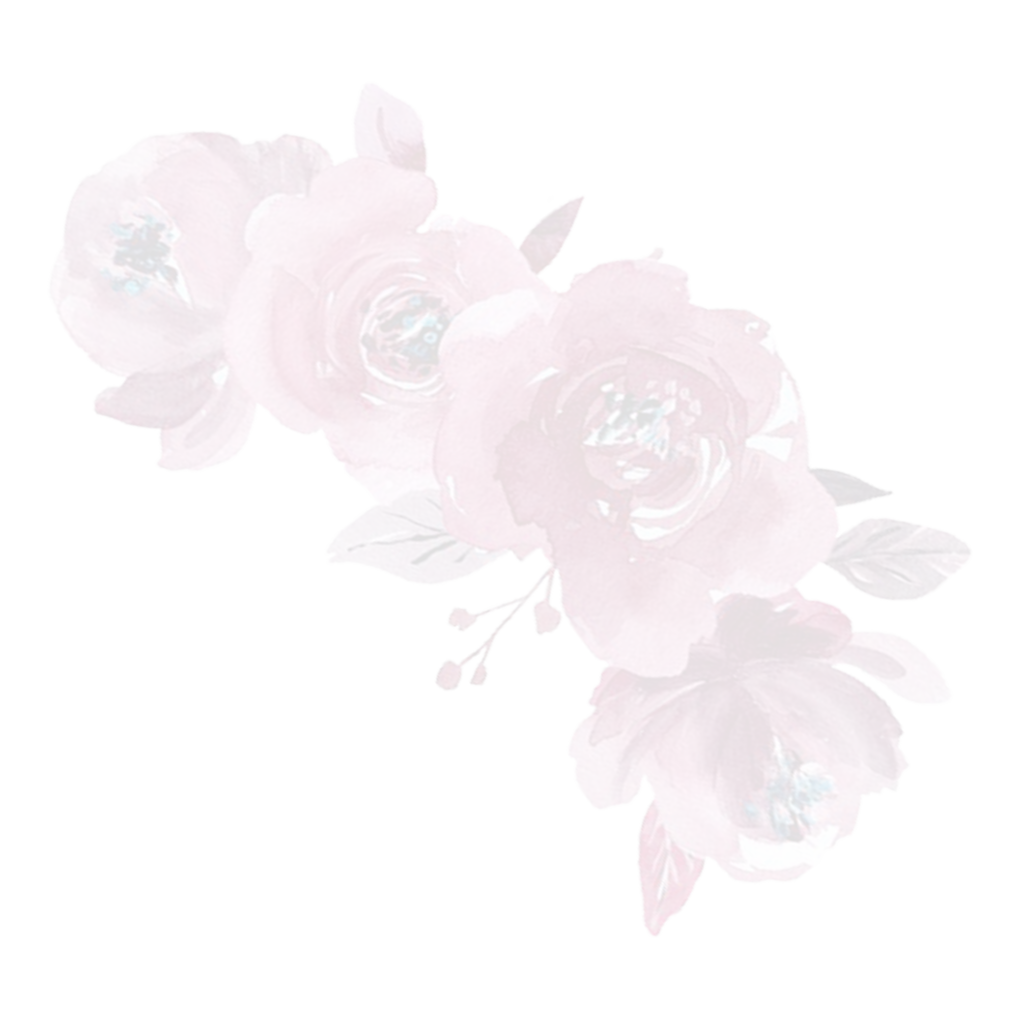 https://avery-tiana.click/wp-content/uploads/2024/09/vbnvbnvb.png